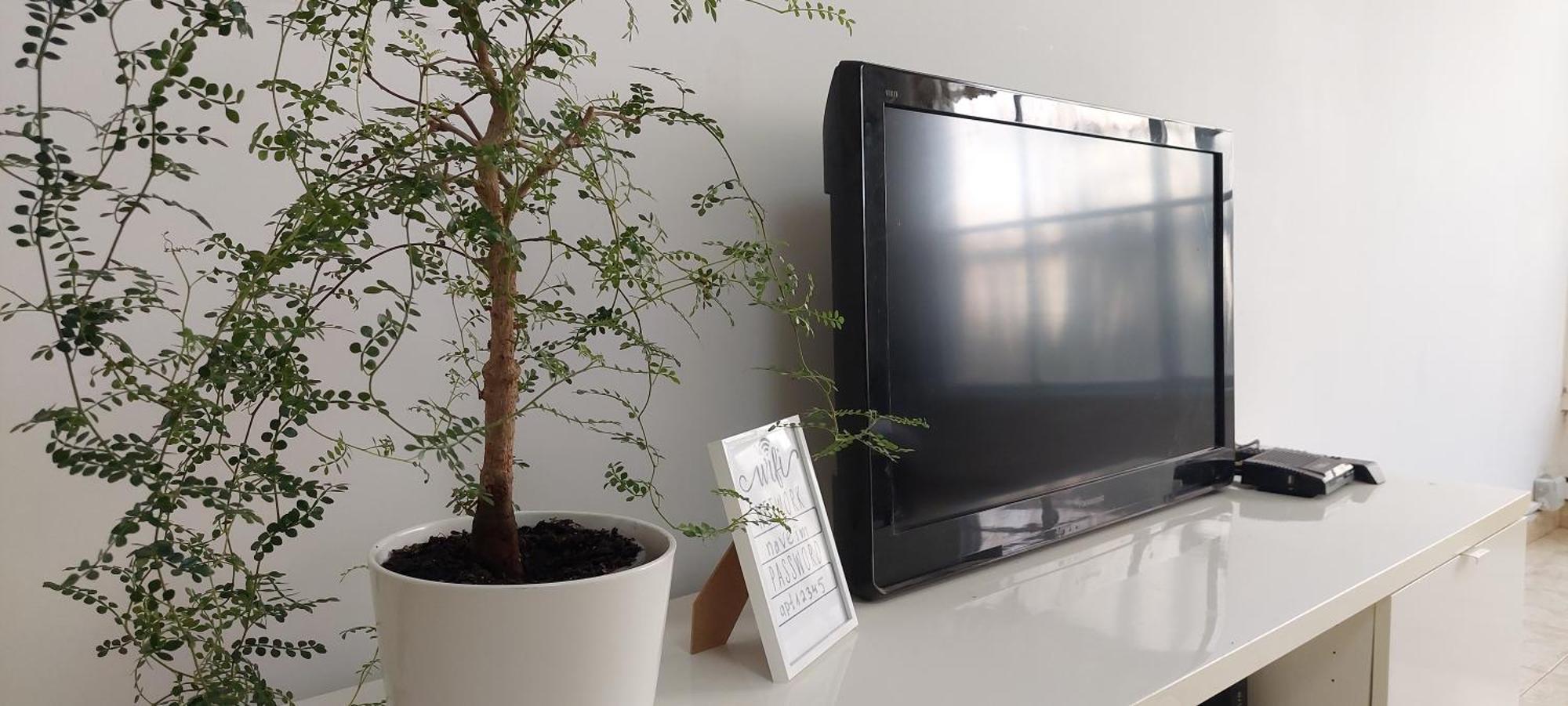 הנביאים 1 נתניה Naveim Apartment Netanya Exterior foto